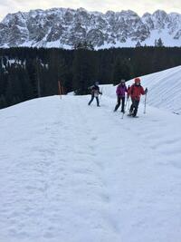 Gros Van en arrière plan Gros Van en arrière plan